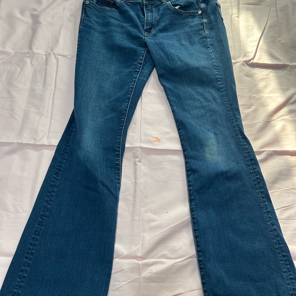 American Eagle Outfitters Blue Flare Wide Leg Jeans